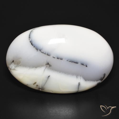 54.75ct 天然 白と黒 樹状瑪瑙, 楕円形, オペーク