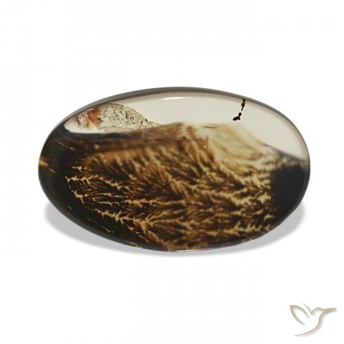 4.17ct マルチカラー 樹状瑪瑙, 楕円形, 透明