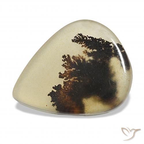 4.62ct マルチカラー 樹状瑪瑙, 洋梨の形, 透明