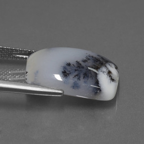 11.56カラットの天然マルチカラーデンドリティックカルセドニー（17.9×13.2 mm・クッションカット）