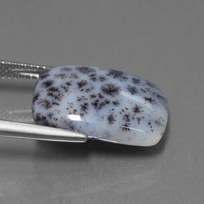 8.39カラットの天然マルチカラー樹枝状カルセドニー、クッションカット、オペーク