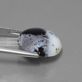 9.50カラットの天然マルチカラー樹枝状カルセドニー、ラウンドカット、半透明