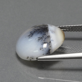 7.74カラットの天然マルチカラーデンドリティックカルセドニー、ラウンドカット、オペーク