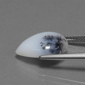 6.98カラットの天然マルチカラー樹枝状カルセドニー、洋梨の形、半透明