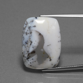 10.32カラットの天然マルチカラー樹枝状カルセドニー、クッションカット、半透明