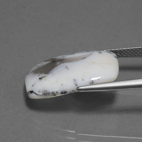 10.32カラットの天然マルチカラー樹枝状カルセドニー、クッションカット、半透明