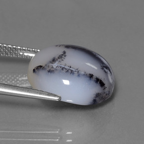 11.38カラットの天然マルチカラーデンドリティックカルセドニー、ラウンドカット、半透明