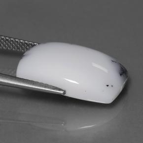 10.95カラットの天然マルチカラー樹枝状カルセドニー、クッションカット、オペーク