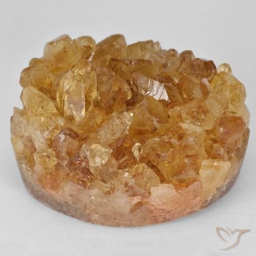64.51ct 天然 ゴールドブラウン ドルジーシトリン, ファンシー, オペーク