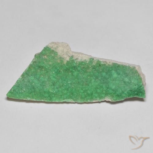 6.91ct 天然 濃いファーングリーン ドルジーバリサイト, ファンシー, オペーク