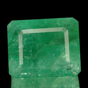9.61カラットの天然グリーンエメラルド（14.2×11.7 mm・エメラルドカット）