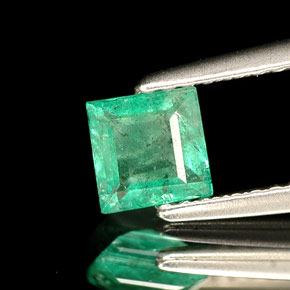 0.49カラットの天然グリーンエメラルド（4.9×4.9 mm・四角）