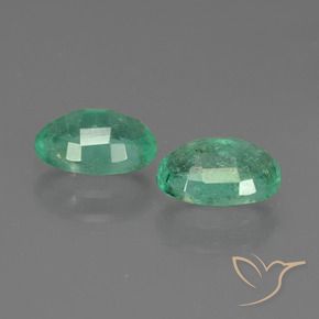 Shop natural 1.51ct ミディアムグリーン エメラルド gems, 楕円形, from ザンビア at GemSelect. In stock, global shipping!