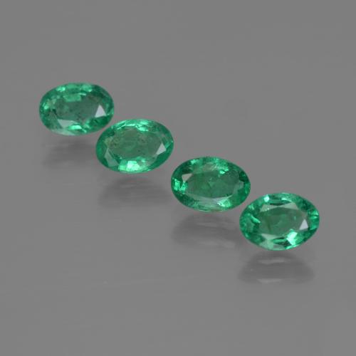 自然派の商品を探す 1.70ct クールグリーン エメラルド 宝石, オーバルカット, ザンビア からGemSelectで. 在庫あり、世界各国へ発送!