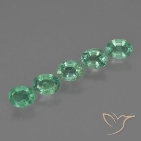 Shop natural 1.60ct ミディアムグリーン エメラルド gems, 楕円形, from ザンビア at GemSelect. In stock, global shipping!