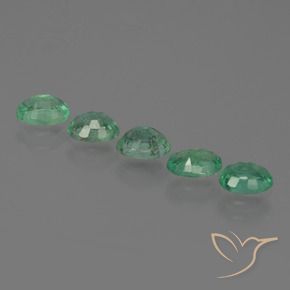 Shop natural 1.60ct ミディアムグリーン エメラルド gems, 楕円形, from ザンビア at GemSelect. In stock, global shipping!