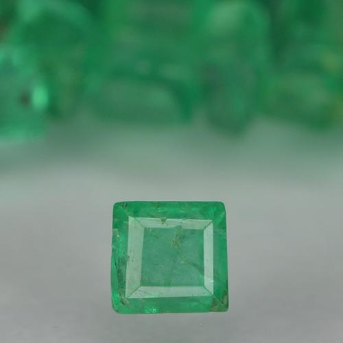 自然派の商品を探す 1.37ct ミディアムグリーン エメラルド 宝石, 四角形, コロンビア からGemSelectで. 在庫あり、世界各国へ発送!