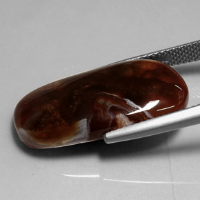 11.99カラットの天然マルチカラーファイアーアゲート（24.7×12.8 mm・透明）