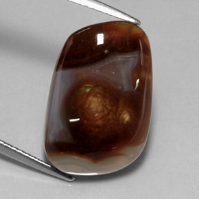 10.11カラットの天然マルチカラーファイアーアゲート（18.8×12.4 mm・透明）