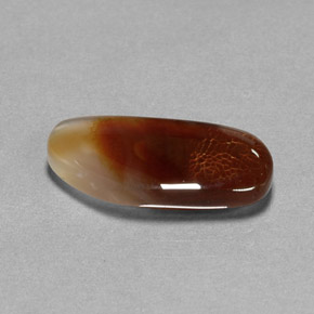 6.66カラットの天然マルチカラーファイアーアゲート（19.7×9.6 mm・透明）