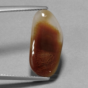 6.66カラットの天然マルチカラーファイアーアゲート（19.7×9.6 mm・透明）