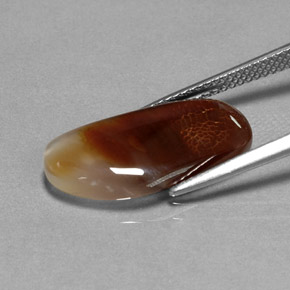 6.66カラットの天然マルチカラーファイアーアゲート（19.7×9.6 mm・透明）