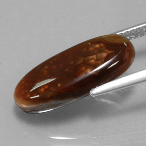 4.87カラットの天然マルチカラーファイアーアゲート（18×8.7 mm・透明）