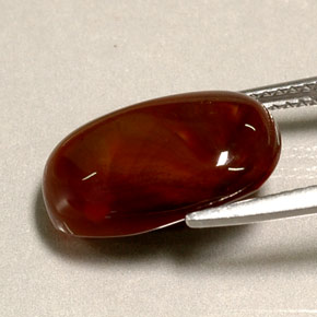 4.95カラットの天然マルチカラーファイアーアゲート（15.3×10.1 mm・透明）