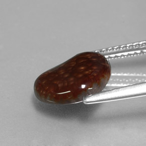 2.22カラットの天然マルチカラーファイアーアゲート（10.7×9.4 mm・ファンシーシェイプ）