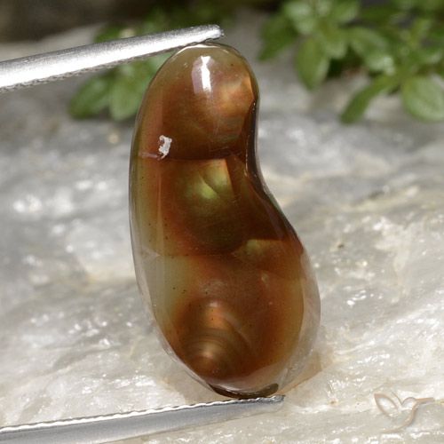 5.25ct 天然 マルチカラー ファイアアゲート, ファンシー, 半透明