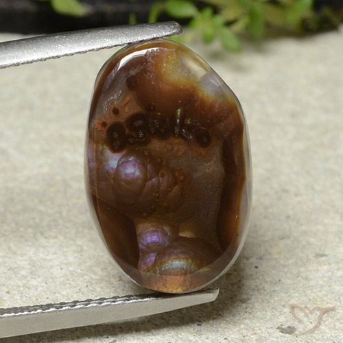 7.65ct 天然 マルチカラー ファイアアゲート, 楕円形, オペーク