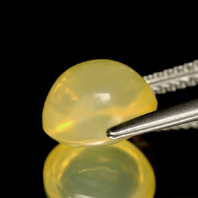2.52カラットの天然イエローファイアーオパール（9.2×8.4 mm・透明）