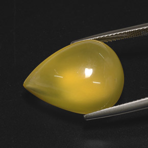15.76カラットの天然イエローファイアーオパール（20.6×15.5 mm・透明）