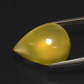15.76カラットの天然イエローファイアーオパール（20.6×15.5 mm・透明）