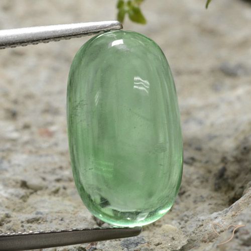 7.35ct 天然 ライトグリーン 蛍石, 楕円形, 透明