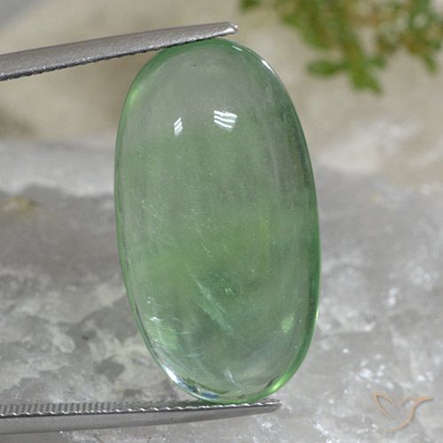 27.65ct 天然 ウォームグリーン 蛍石, 楕円形, 透明