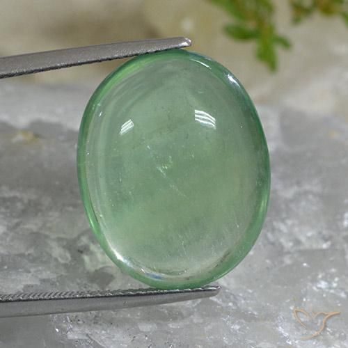 24.65ct 天然 ライトグリーン 蛍石, 楕円形, 透明