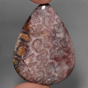 65.56カラットの天然マルチカラー化石サンゴ（46.5×33.7 mm・洋梨の形）