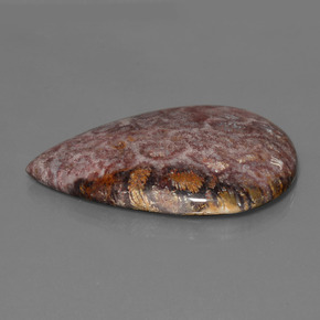 65.56カラットの天然マルチカラー化石サンゴ（46.5×33.7 mm・洋梨の形）