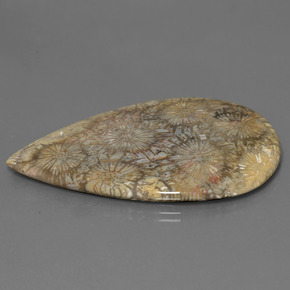 70.58カラットの天然マルチカラー化石サンゴ、洋梨の形、オペーク