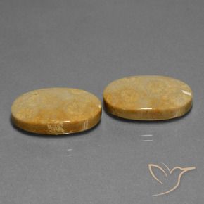 Shop natural 32.11ct マルチカラー 化石サンゴ gems, 楕円形, from インドネシア at GemSelect. In stock, global shipping!