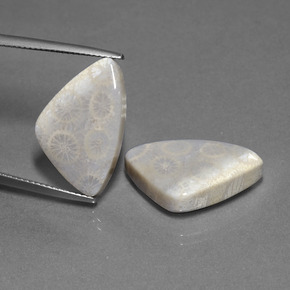 21.39カラットの天然マルチカラー化石サンゴ（20.9×13.3 mm・トリリアント）