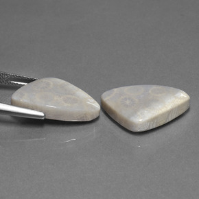 21.39カラットの天然マルチカラー化石サンゴ（20.9×13.3 mm・トリリアント）