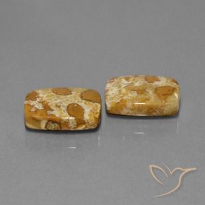 Shop natural 19.08ct マルチカラー 化石サンゴ gems, クッション, from インドネシア at GemSelect. In stock, global shipping!