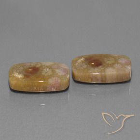 Shop natural 30.11ct マルチカラー 化石サンゴ gems, クッション, from インドネシア at GemSelect. In stock, global shipping!