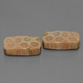 自然派の商品を探す ct マルチカラー 化石サンゴ 宝石, クッションカット, インドネシア からGemSelectで. 在庫あり、世界各国へ発送!