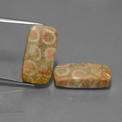 自然派の商品を探す 23.56ct マルチカラー 化石サンゴ 宝石, クッションカット, インドネシア からGemSelectで. 在庫あり、世界各国へ発送!