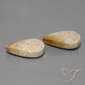 Shop natural 28.35ct マルチカラー 化石サンゴ gems, 洋梨の形, from インドネシア at GemSelect. In stock, global shipping!