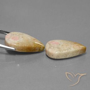 Shop natural 28.35ct マルチカラー 化石サンゴ gems, 洋梨の形, from インドネシア at GemSelect. In stock, global shipping!