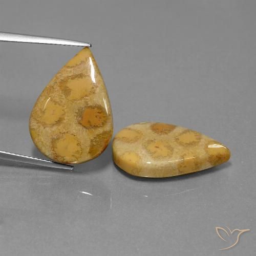 22.90ctw 天然 マルチカラー 化石サンゴ, 洋梨の形, オペーク